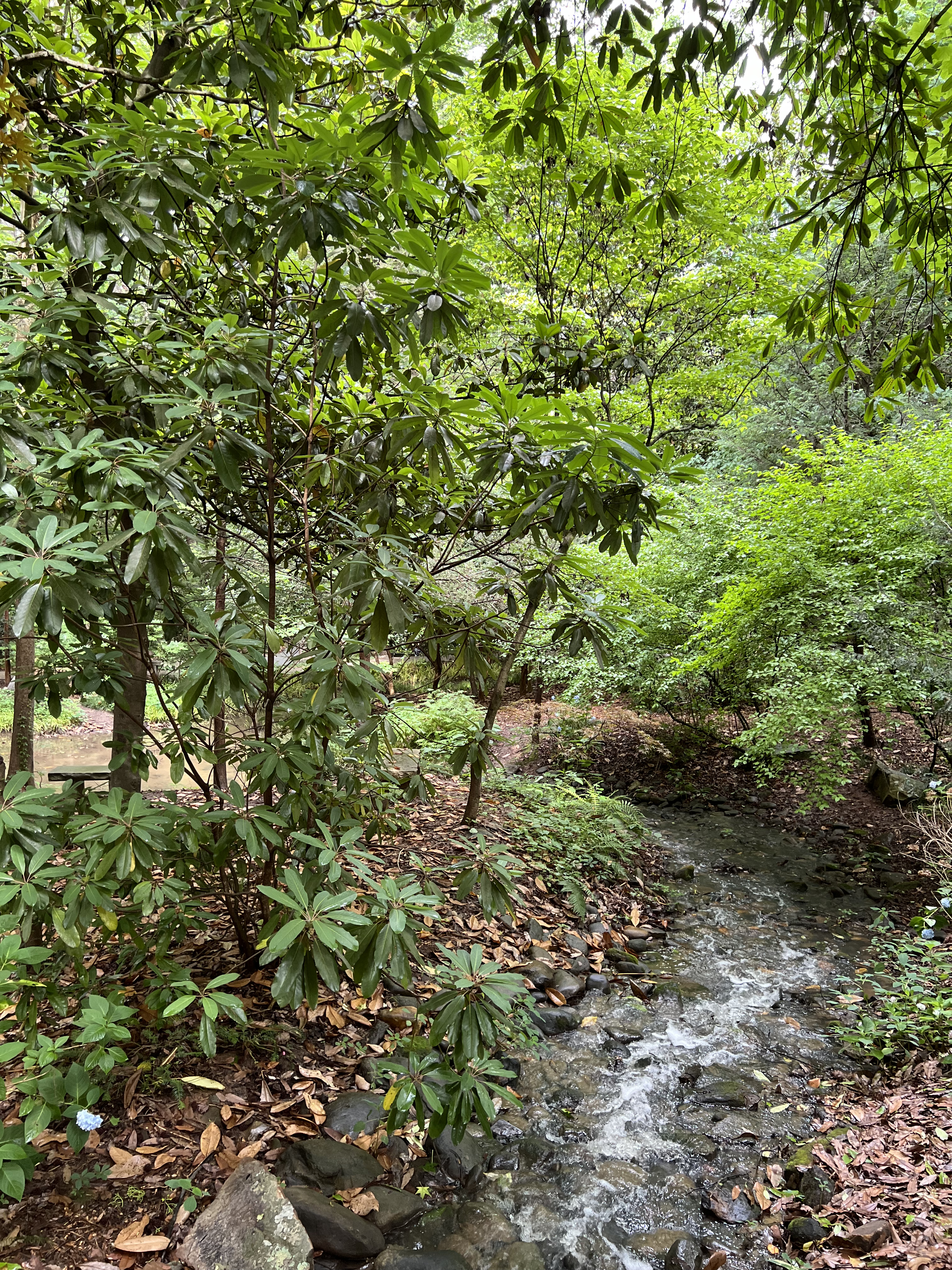 ./2024/07 - Gaffney/IMG_1503.jpg